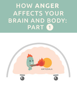 How Anger Affects Your Brain and Body Infographic