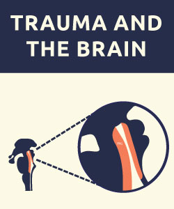 Trauma and the Brain Infographic