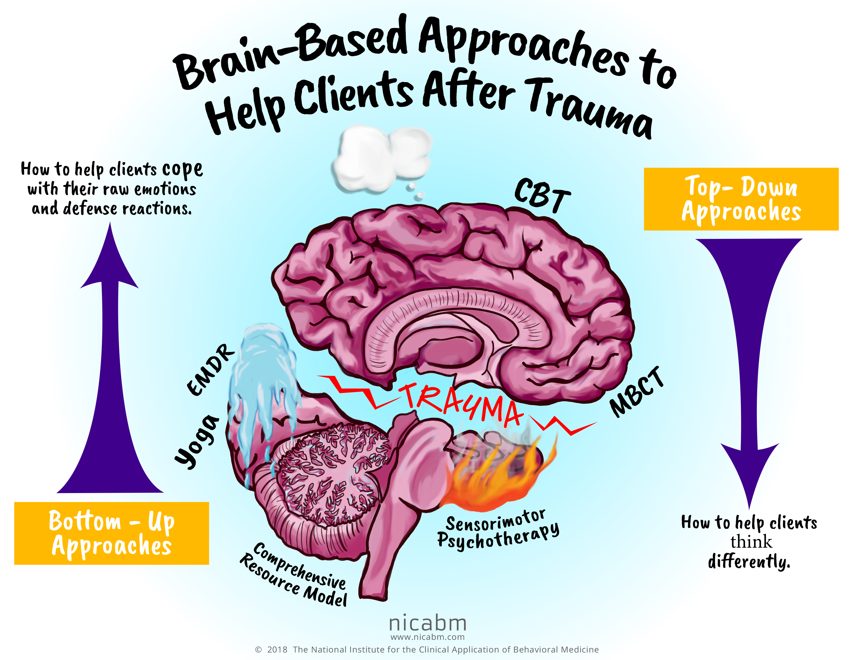 Brain Based Approaches to help Clients After Trauma Infographic