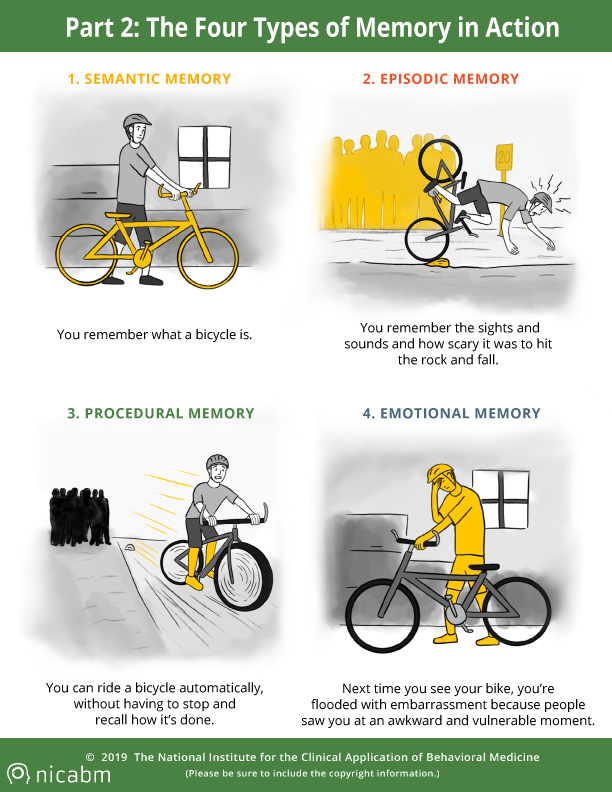 Understanding Trauma S Impact On Four Types Of Memory Infographic Understanding Trauma S Impact On Four Types Of Memory Infographic