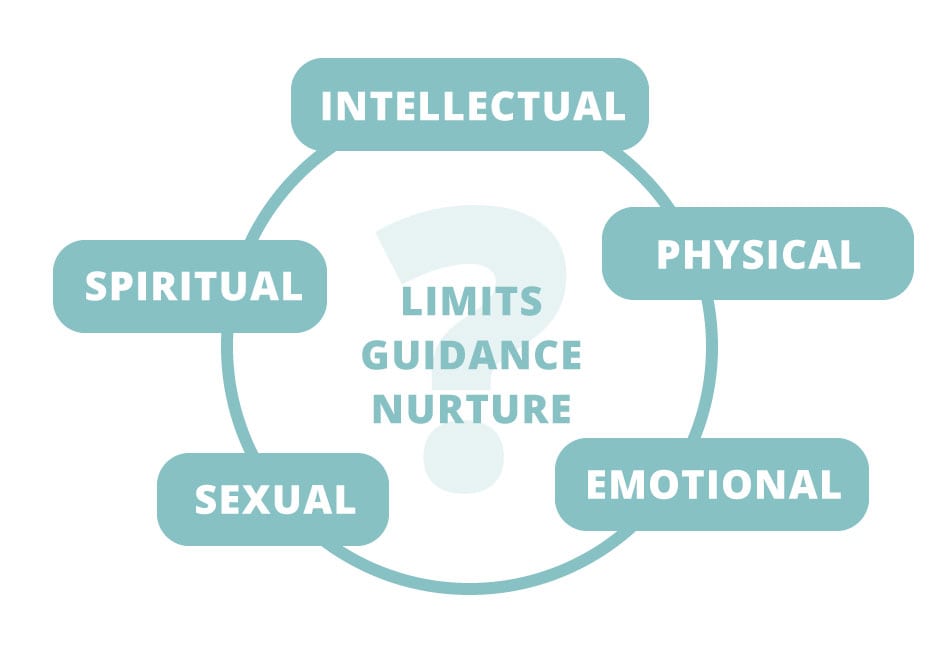 Terry Real-5 domains