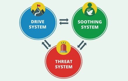 3 systems that regulate our emotions