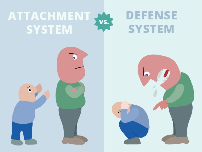 defense system vs. attachment system