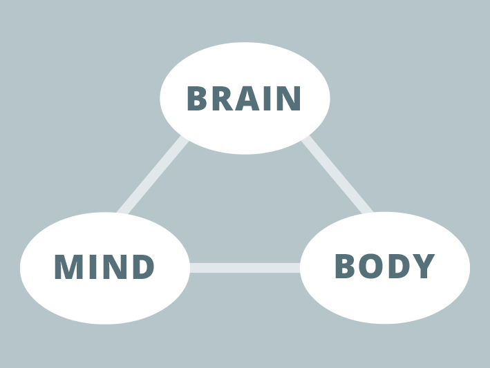 connecting brain,mind and body
