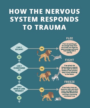 how the nervous system responds to trauma