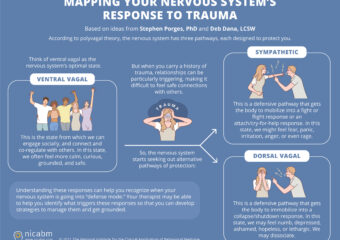 Mapping the Nervous System's Response to Trauma