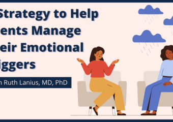 NICABM blog on how to help clients better manage emotional triggers.