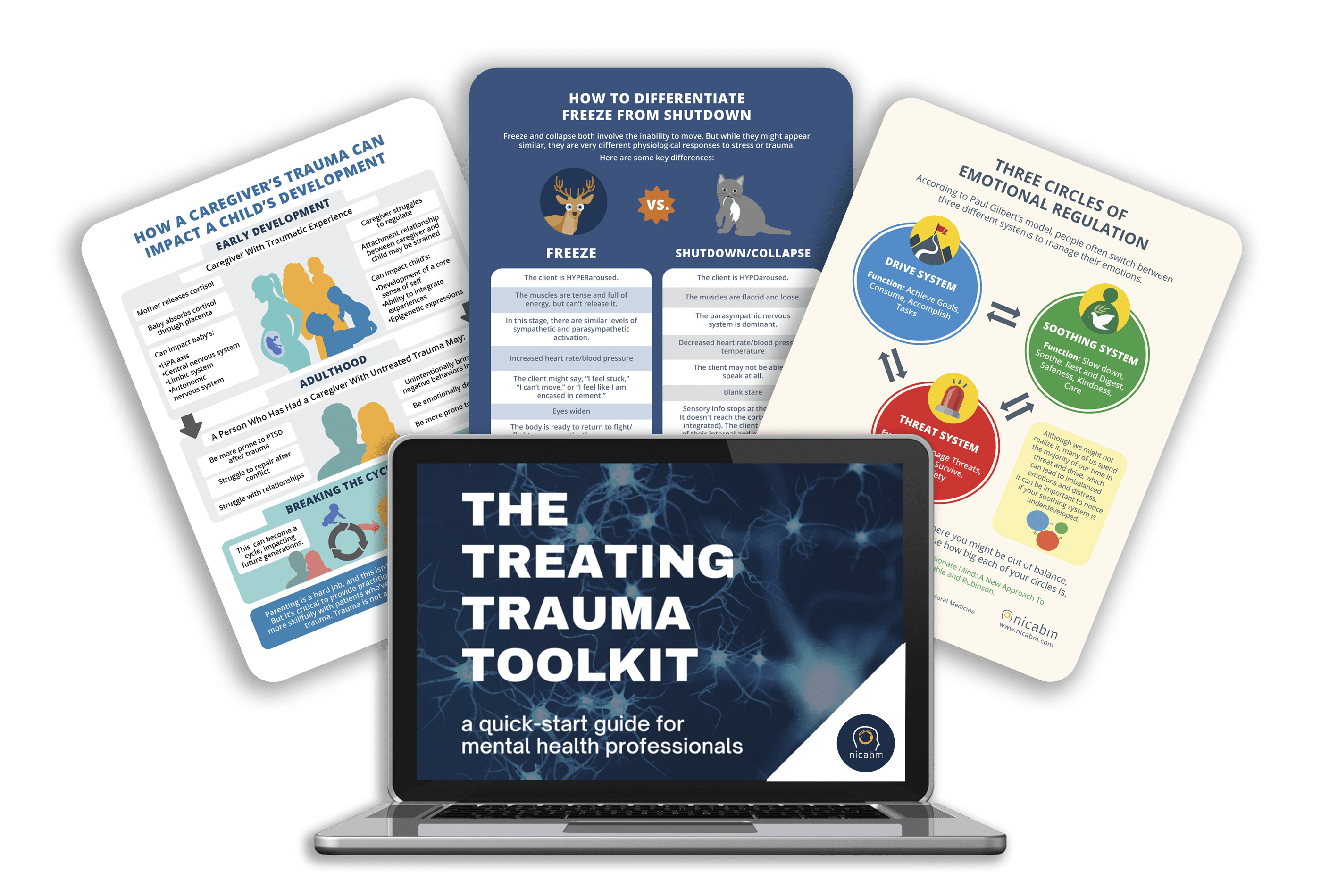 Treating Trauma Toolkit