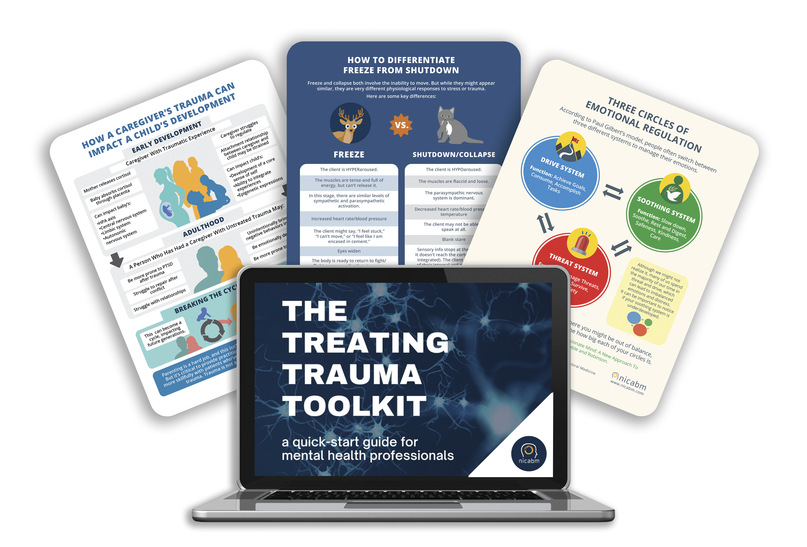 Trauma toolkit sample image